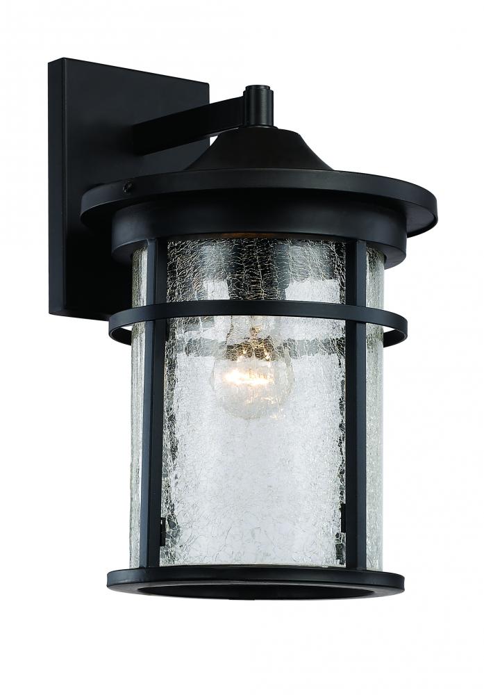 1LT WALL LANTERN-LG-SEEDED GLA